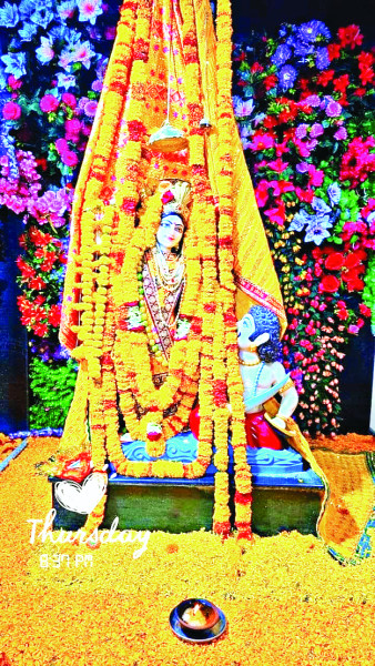 बीजासनी मंदिर में मनाया गया मां पीतांबरा जन्मोत्सव