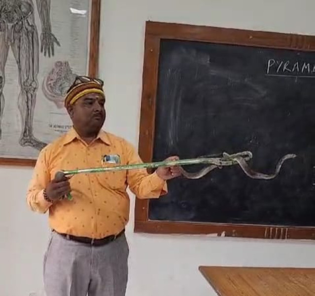 Jabalpur News: नेताजी सुभाषचंद्र बोस मेडिकल कॉलेज की क्लास रूम में घुसा कोबरा