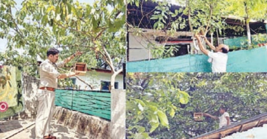 JABALPUR NEWS: बेजुबानों को बचाने छेड़ी मुहिम, अब घर-घर होंगे पक्षियों के आशियाने,सामान्य वनमण्डल जबलपुर का नवाचार, घरौंदा अभियान की शुरआत