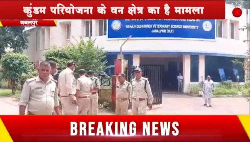 Jabalpur News: शिकारी के फंदे फंसकर मादा तेंदुए की मौत, कुंडम परियोजना के वन क्षेत्र का मामला