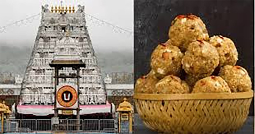 पहले भी लौटाए गए थे घी के टैंकर, रिपोर्ट में जानवरों की चर्बी को लेकर क्या कहा गया है जानिए