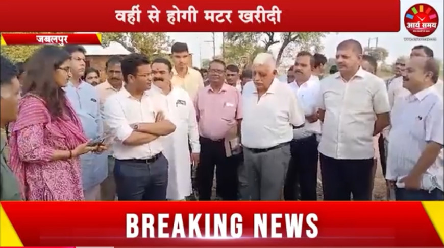 Jabalpur News: औरिया मटर मंडी से ही इस सीजन में होगी मटर खरीदी, व्यवस्थाओं का जायजा लेने विधायकों के साथ पहुंचे कलेक्टर