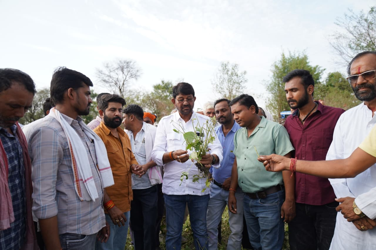 दमोह: ओलावृष्टि से फसल क्षति का जायजा लेने पहुंचे राज्यमंत्री लखन पटेल