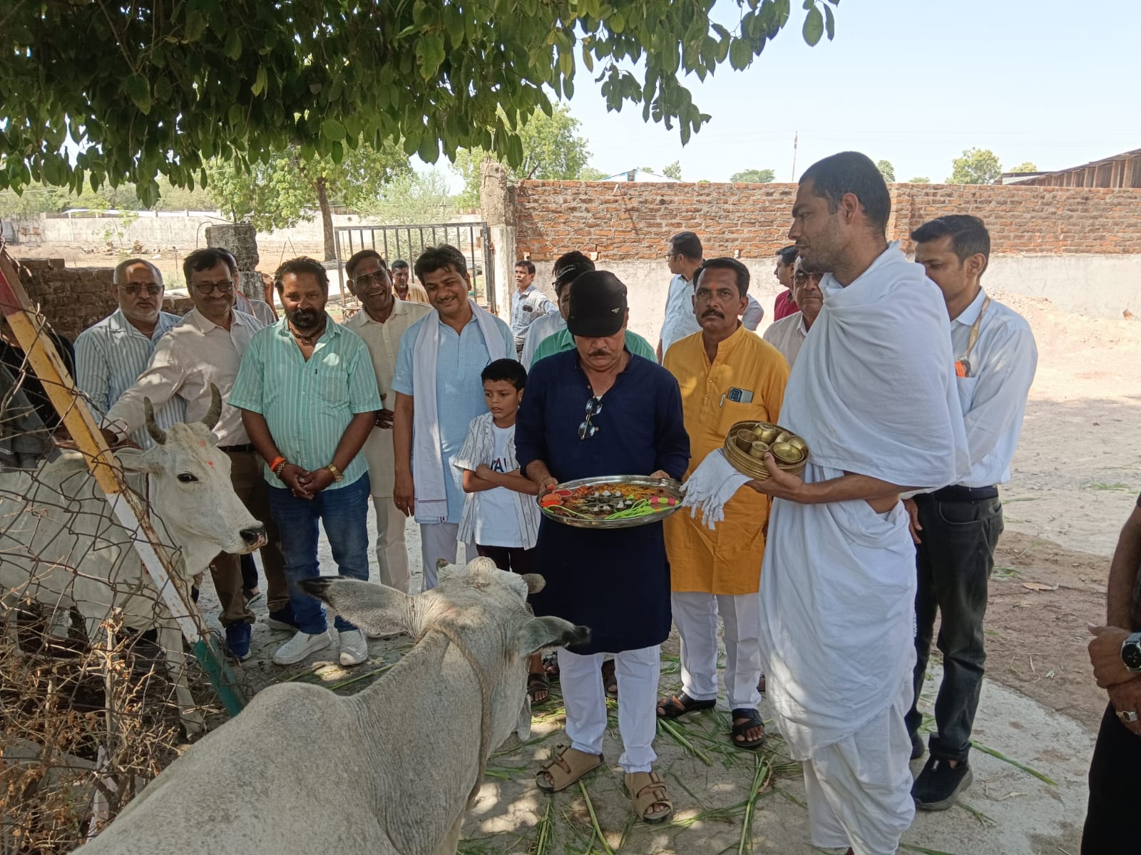 विश्व पर्यावरण दिवस 5 जून से 31 दिसंबर 2026 तक प्रकृति सेवा संस्थान समिति द्वारा पर्यावरण सुरक्षा को समर्पित एक व्यापक जागरूकता महा अभियान क