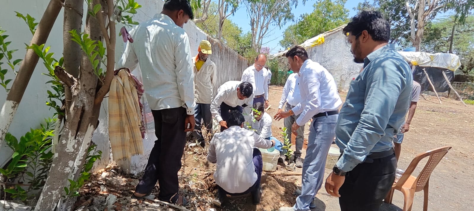 *विश्व पर्यावरण दिवस पर आमला में गूंजा हरित संदेश, ‘एक पेड़ माँ के नाम’ अभियान का हुआ शुभारंभ*