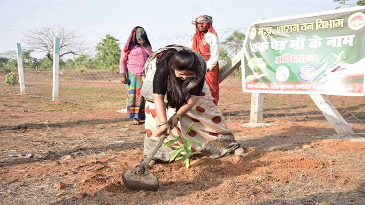 सतना: विश्व पर्यावरण दिवस पर राज्यमंत्री प्रतिमा बागरी ने किया पौधरोपण