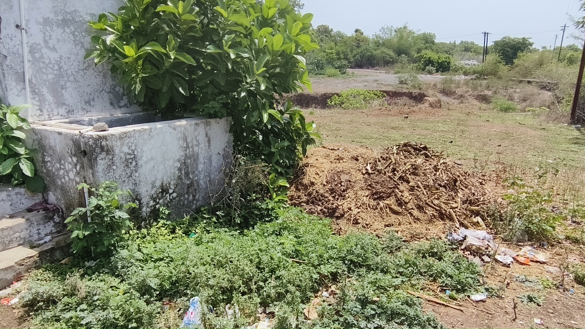  वार्ड क्रमांक 20 में सार्वजनिक शौचालय पूर्ण रूप से क्षतिग्रस्त, गंदगी का लगा अंबर, पानी की व्यवस्था भी नहीं