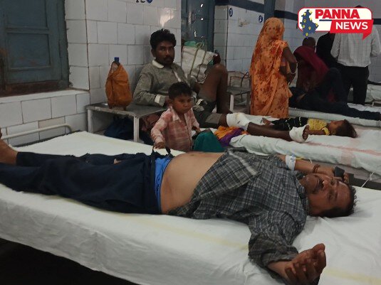 पन्ना: बाइक के सामने अचानक आया बंदर, वाहन पलटने से तीन लोग हुए घायल