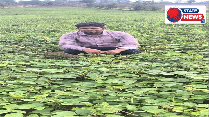 विदिशा: सिरोंज में मूंग फसल के अफलन की होगी वैज्ञानिक जांच