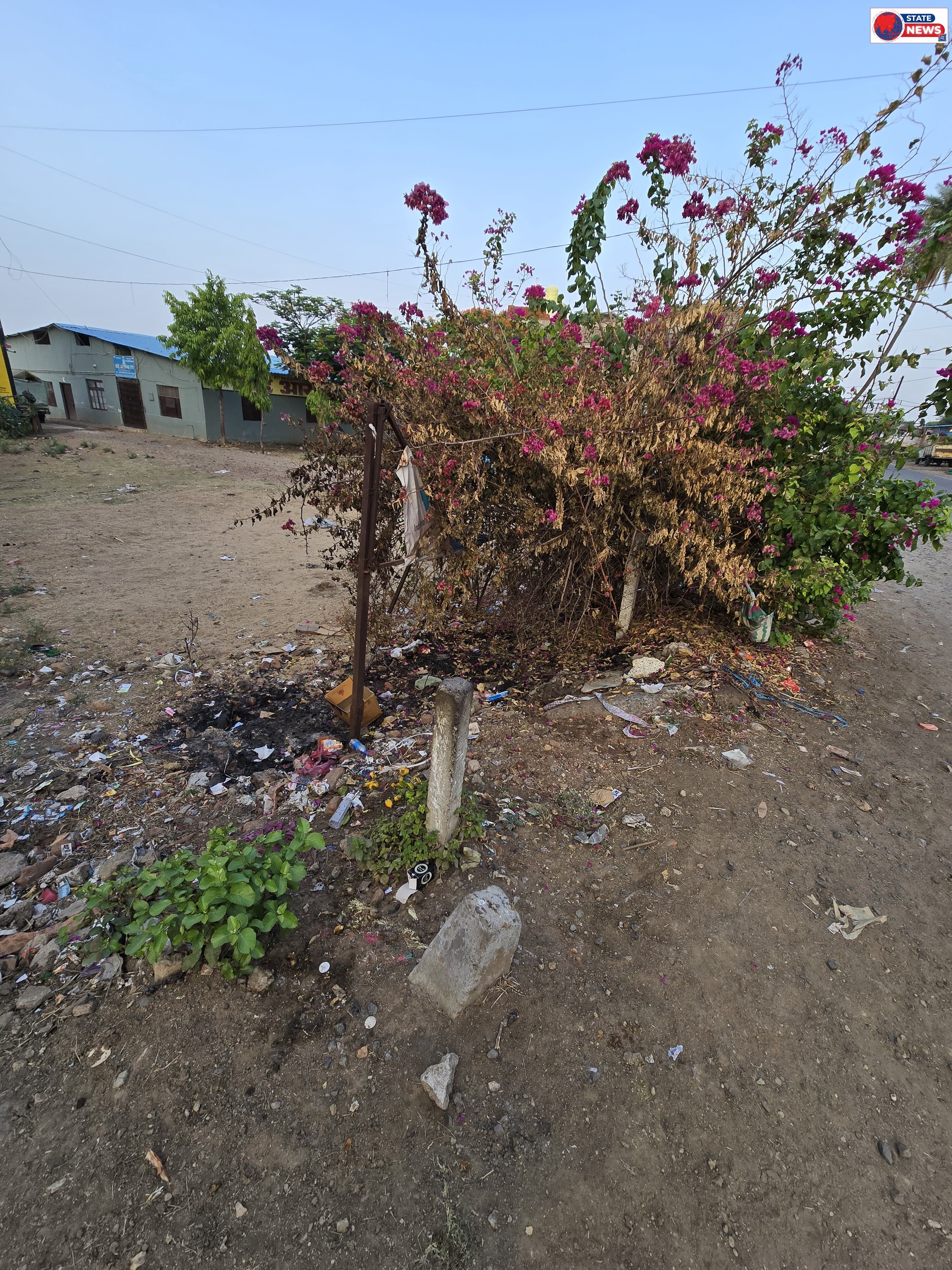 कचरा जलाने की लापरवाही से आधा जला हरा-भरा वृक्ष, वार्ड 05 में फैली नाराजगी