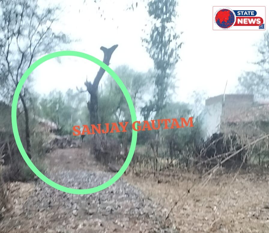 सरपंच के द्वारा निजी भूमि पर सड़क बनाने का गंभीर आरोप