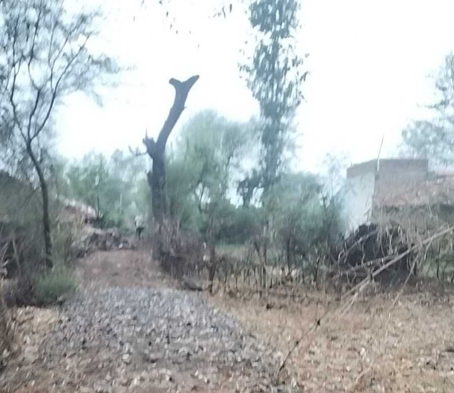 सरपंच पर निजी भूमि पर सड़क बनाने का आरोप