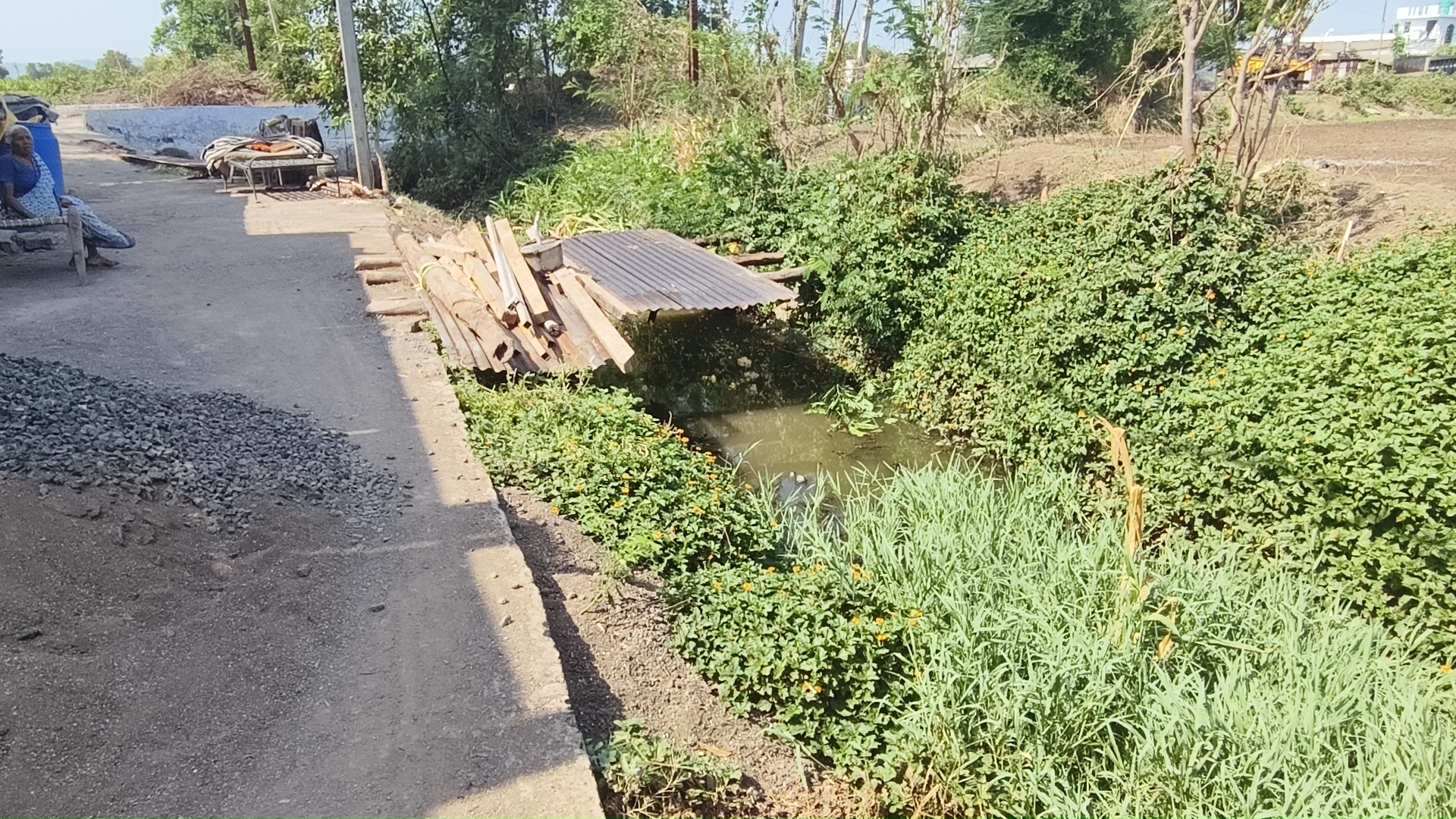नेपानगर के ग्राम हैदरपुर में गंदगी से परेशान आम जनता, सरपंच ने कहा दो से तीन दिन के अंदर समस्या का निराकरण
