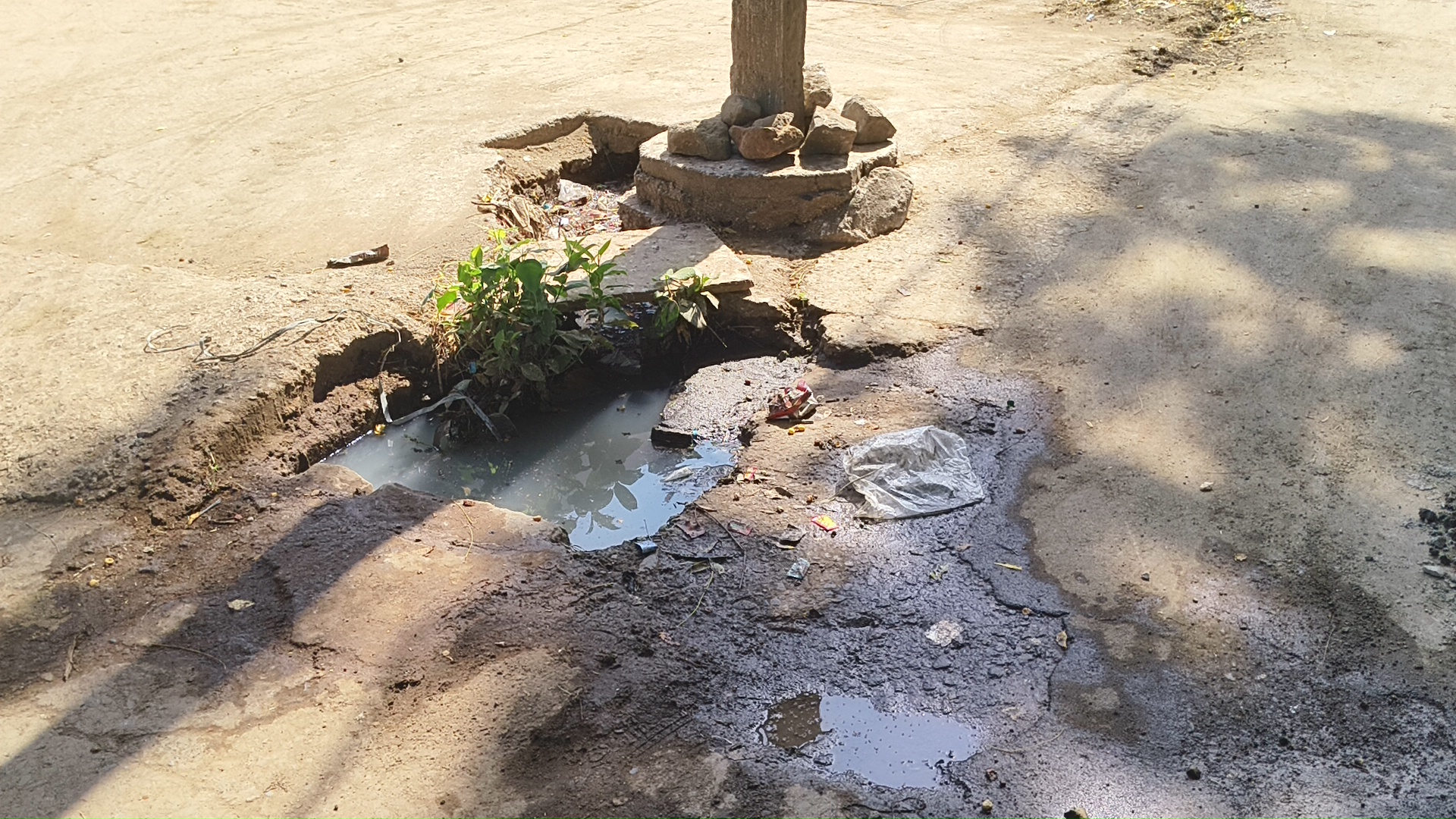 नेपानगर के ग्राम हैदरपुर में गंदगी से परेशान आम जनता, सरपंच ने कहा दो से तीन दिन के अंदर समस्या का निराकरण