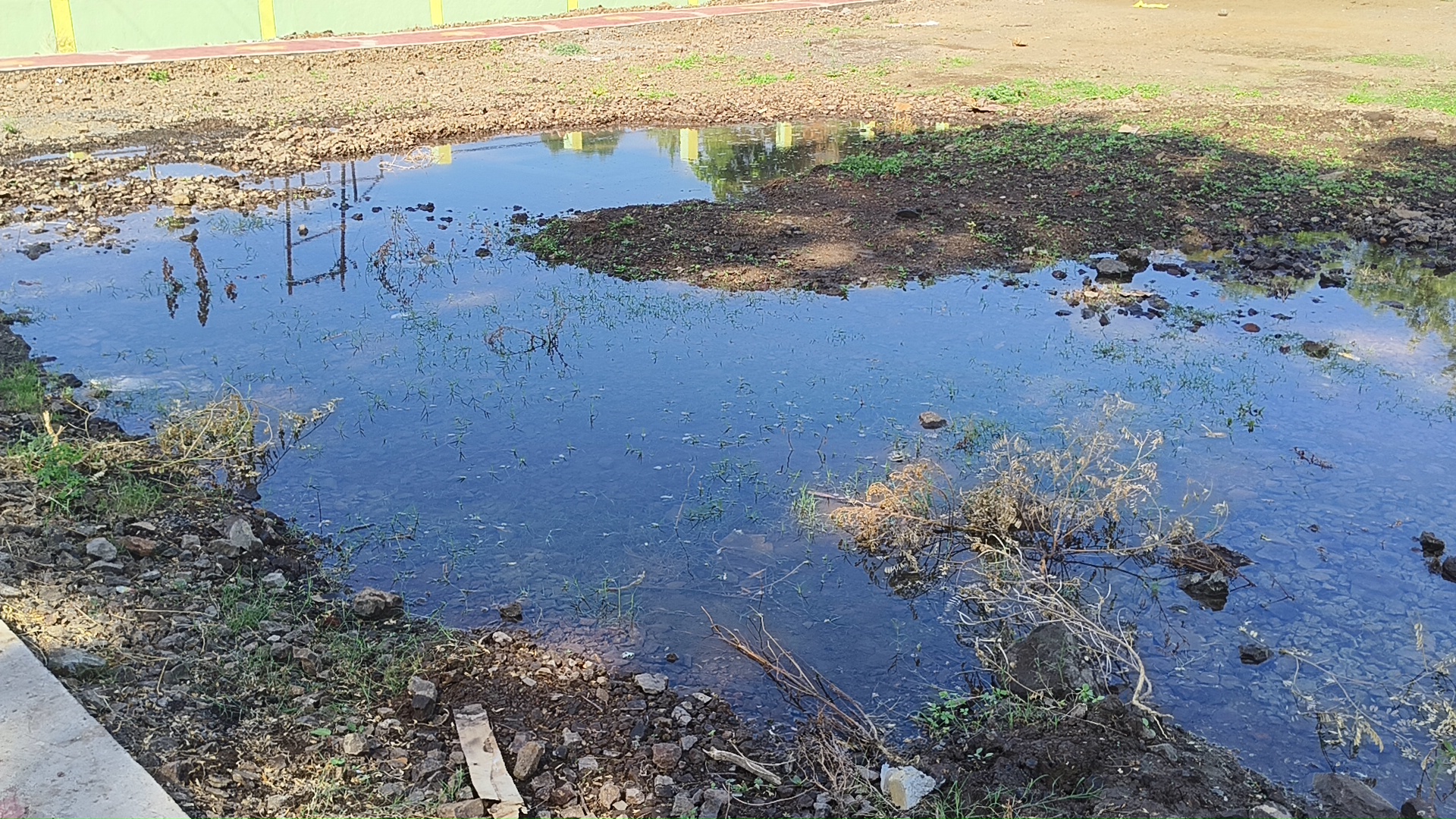 नेपानगर के वार्ड क्रमांक 11 में बारिश से पहले ही पानी से भरा गार्डन