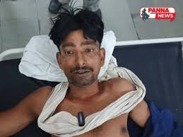 पन्ना: खेत की बाड़ से लकड़ी तोड़ने पर किसान पर जानलेवा हमला