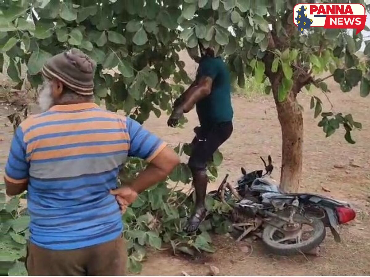 पन्ना: बाइक पर चढ़कर फांसी पर झूला युवक, जंगल में मिला शव