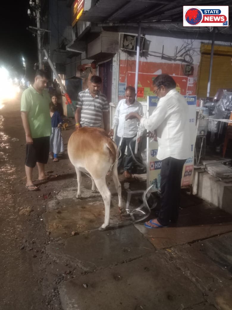 घायल गौवंश की सेवा कर यश गुगनानी ने पेश की मानवता की मिसाल