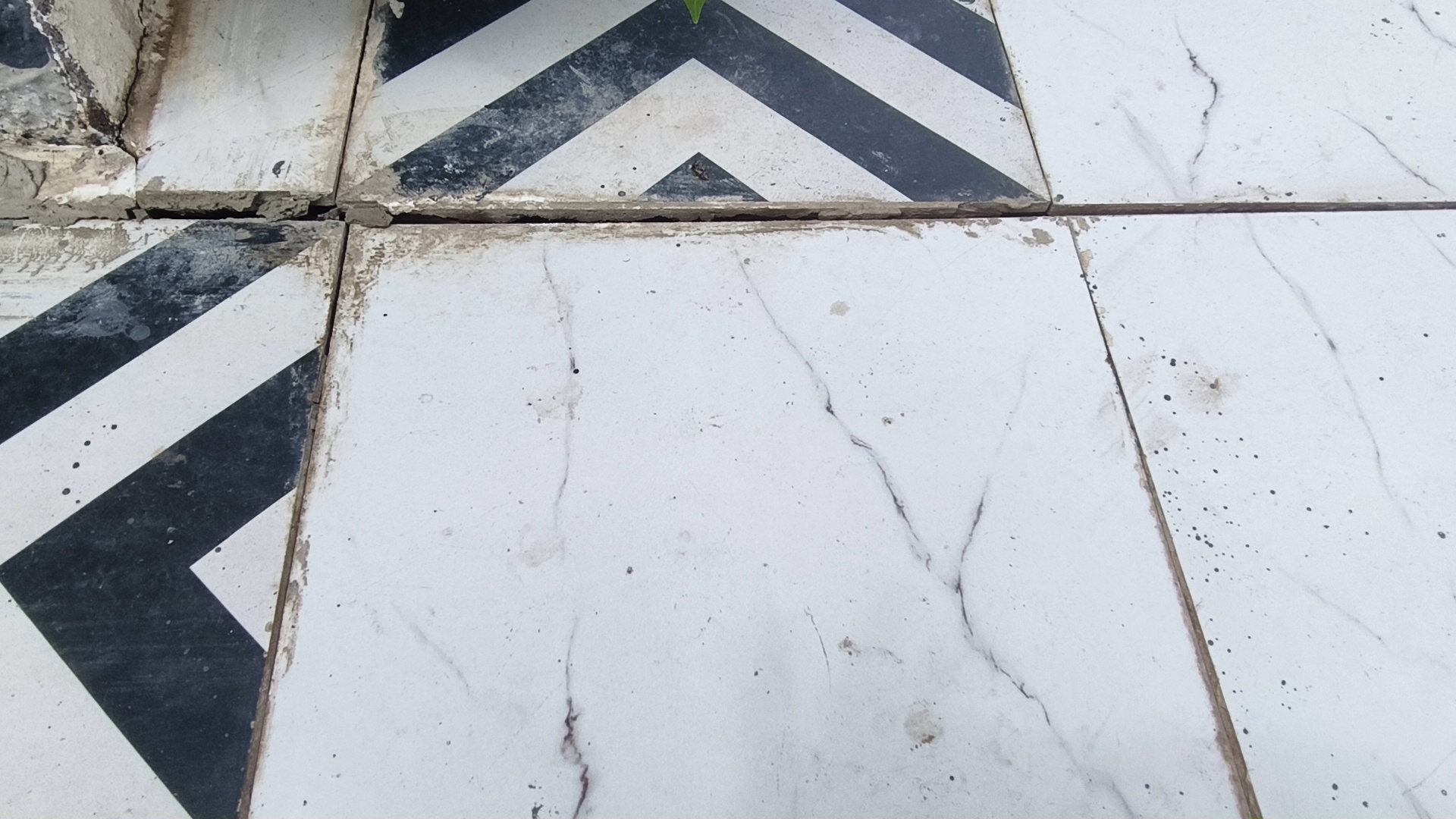 नगर पालिका का नया भवन अभी शुरू हुआ भी नहीं, भवन की टाइल्स उखाड़ना और टूटना शुरू हो गई है।