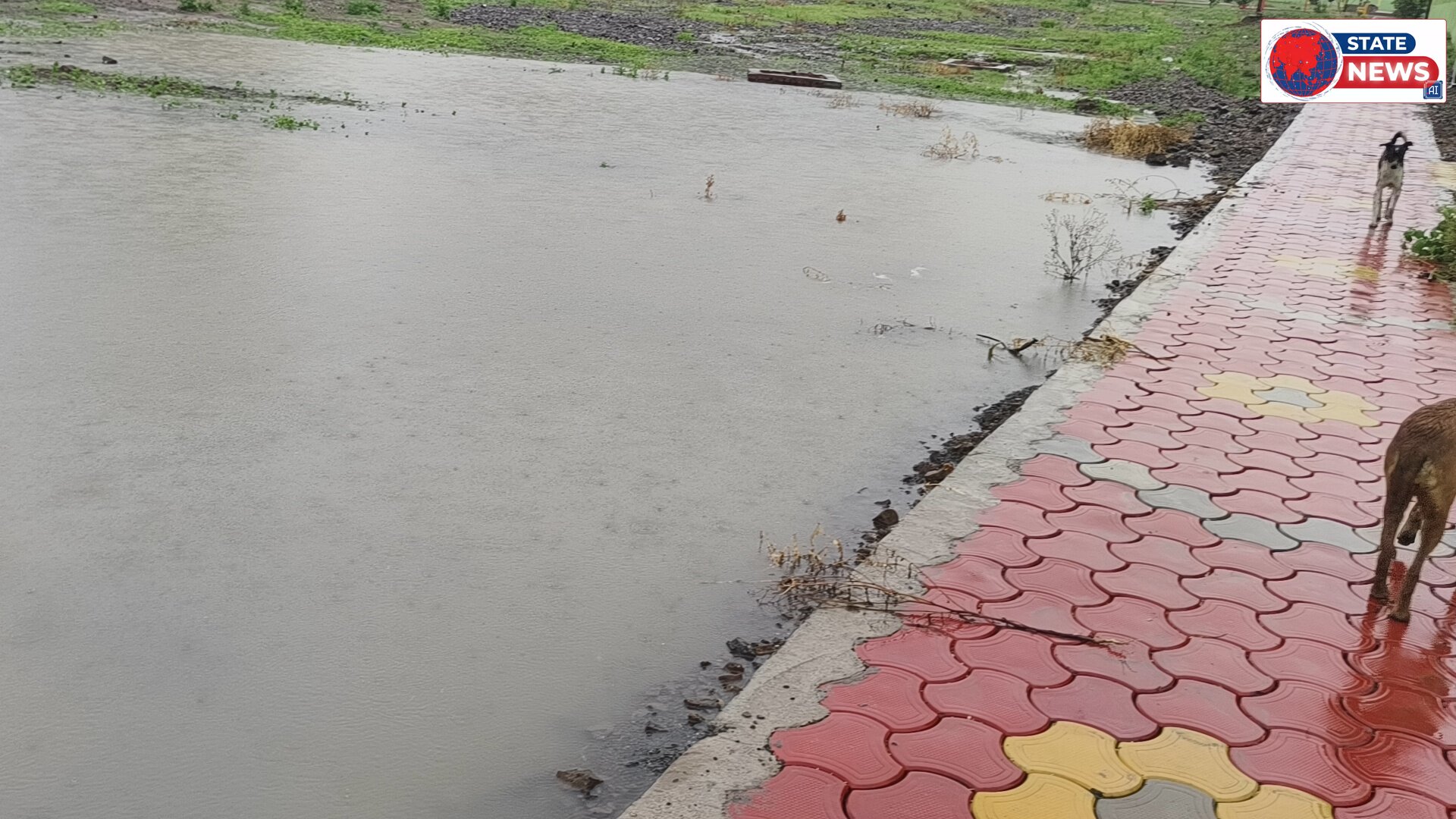 नेपानगर के वार्ड क्रमांक 11 का गार्डन बारिश से बना तालाब