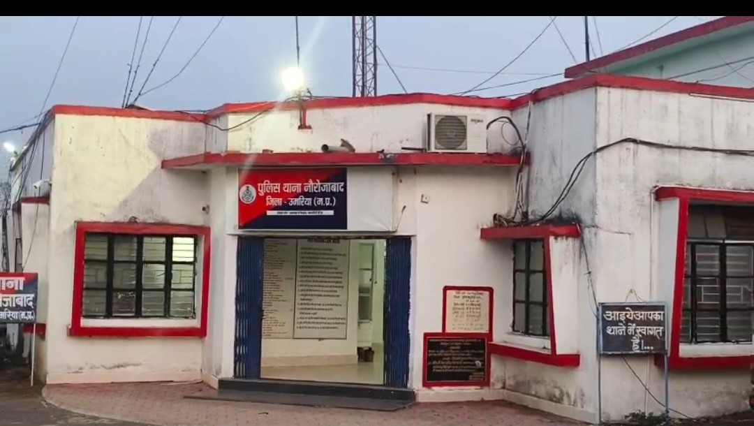नौरोजाबाद में बड़ी लापरवाही: सड़क निर्माण स्थल पर नहीं था कोई चेतावनी बोर्ड,वार्ड 5 के पास पलटी वैन, मची चीख-पुकारनौरोजाबाद      स्थानीय प्र