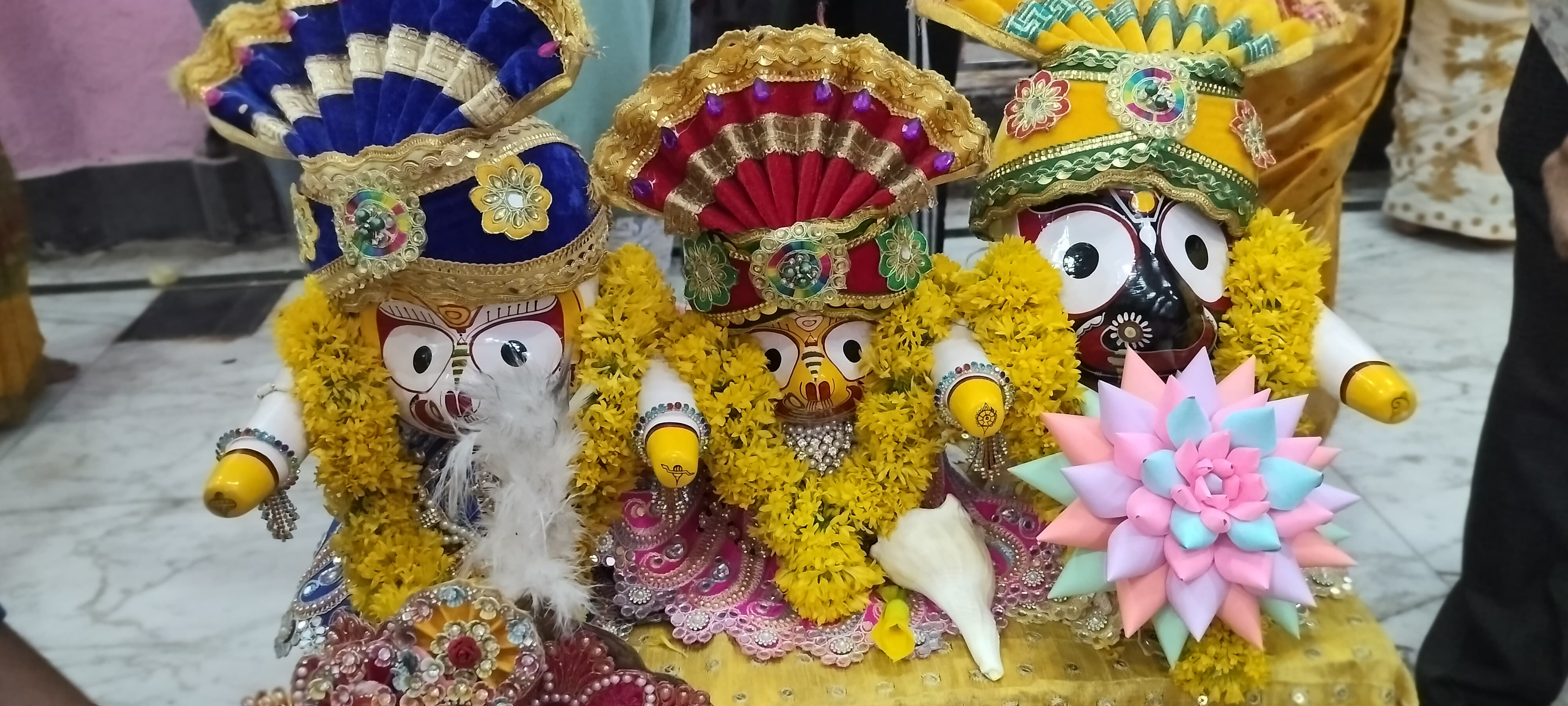 देव पूर्णिमा पर निकली शोभायात्रा 