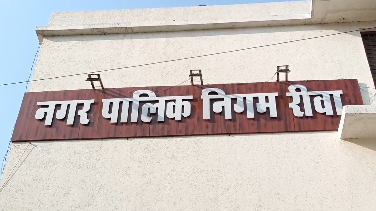 नगर निगम वाहन की टक्कर से बाइक सवार घायल
