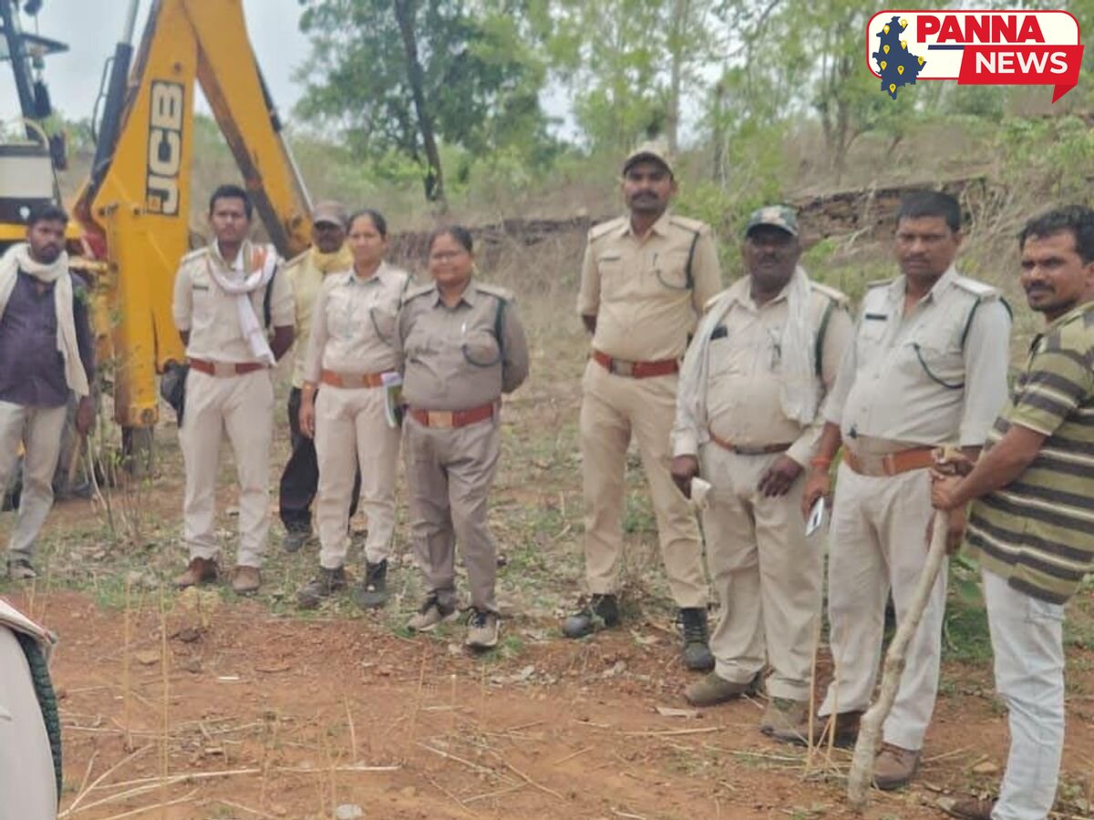 पन्ना: वन विभाग ने 2.5 हेक्टेयर वन भूमि को भू-माफियाओं के चंगुल से कराया मुक्त