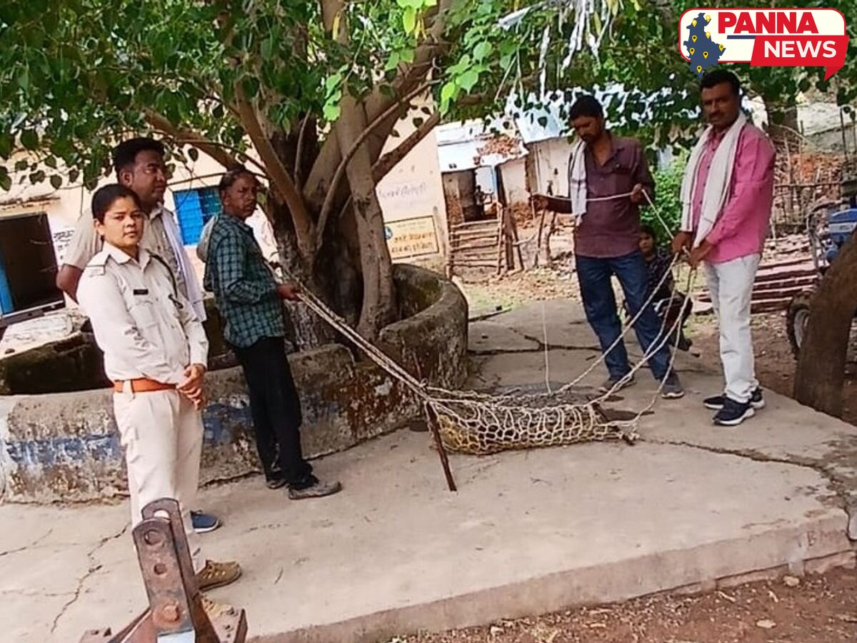 पन्ना: कुएं में फंसे सियार की बची जान, वन विभाग के रेस्क्यू ऑपरेशन से मिली नई जिंदगी