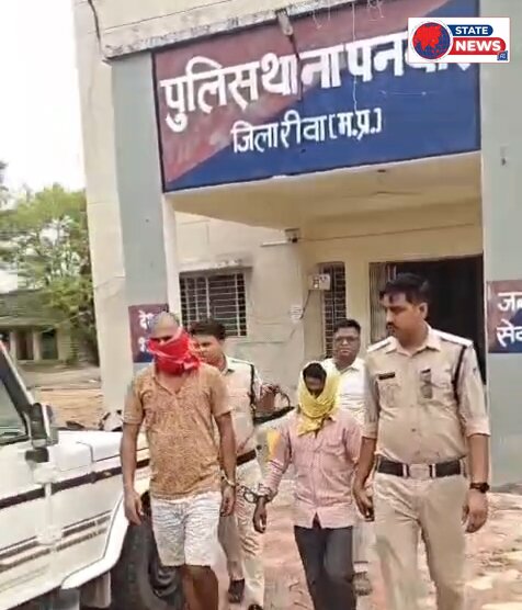नशे के सौदागरों पर रीवा पुलिस का बड़ा प्रहार, 87 किलो गांजा बरामद; दो आरोपी गिरफ्तार, अन्य की तलाश जारी