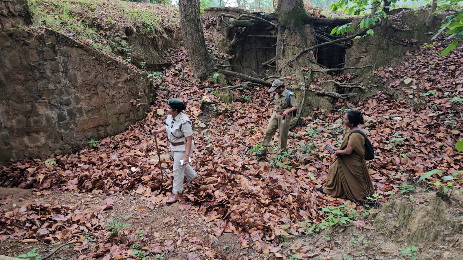 कान्हा नेशनल पार्क में ऑपरेशन मानसून