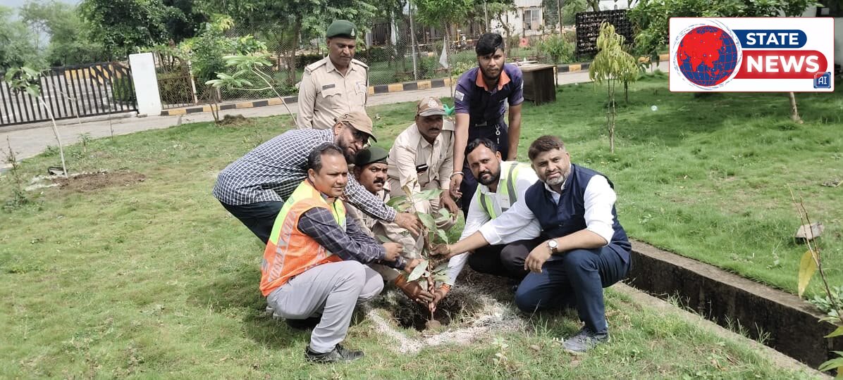 सांसद बंटी साहू ने किया बहोरीपार टोल प्लाजा में वृक्षारोपण