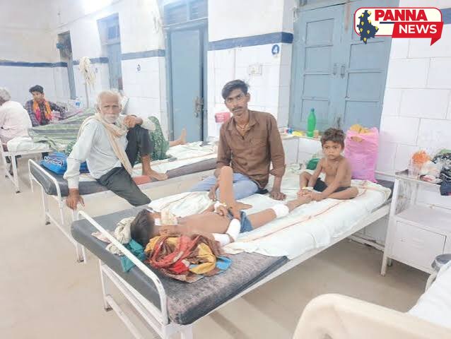 पन्ना: छोटे भाई को बचाने के लिए पागल कुत्ते से भिड़ा 7 साल का मासूम, गंभीर रूप से घायल