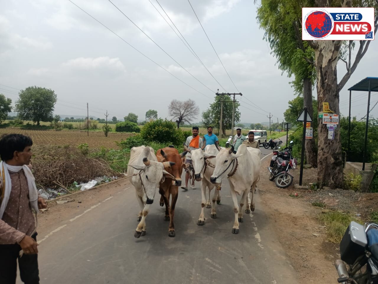 मोहगांव पुलिस प्रशासन के निष्क्रियता से गौ तस्करी को बढ़ावा*