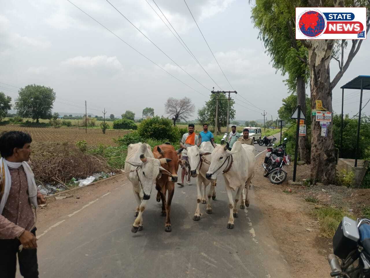 मोहगांव पुलिस प्रशासन के निष्क्रियता से गौ तस्करी को बढ़ावा*