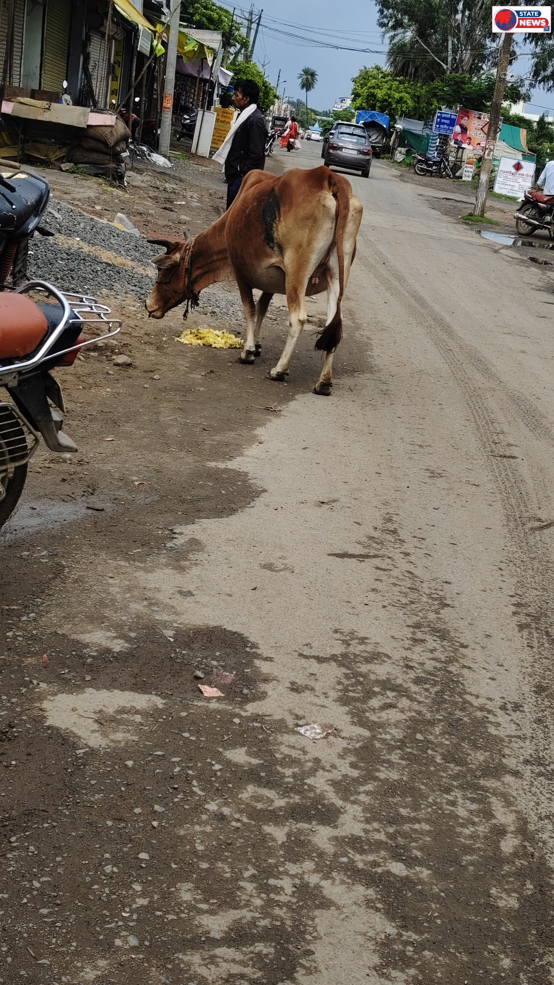 *सड़कों पर बेसहारा गोवंश: बेजुबानों की बेबसी, बढ़ते हादसे और व्यवस्था पर बड़े सवाल