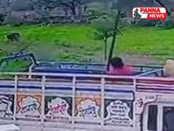 पन्ना में दर्दनाक हादसा: हाईटेंशन लाइन की चपेट में आने से पिकअप चालक की सेकंडों में मौत