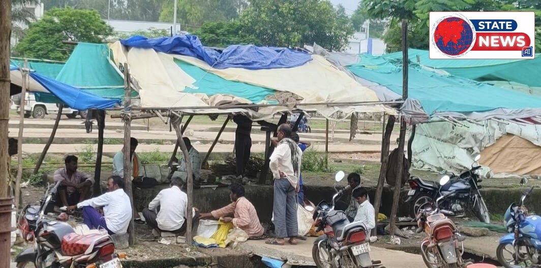 *प्रतिबंध बेअसर: आमला के बाजार में धड़ल्ले से बिक रही मछलियां*