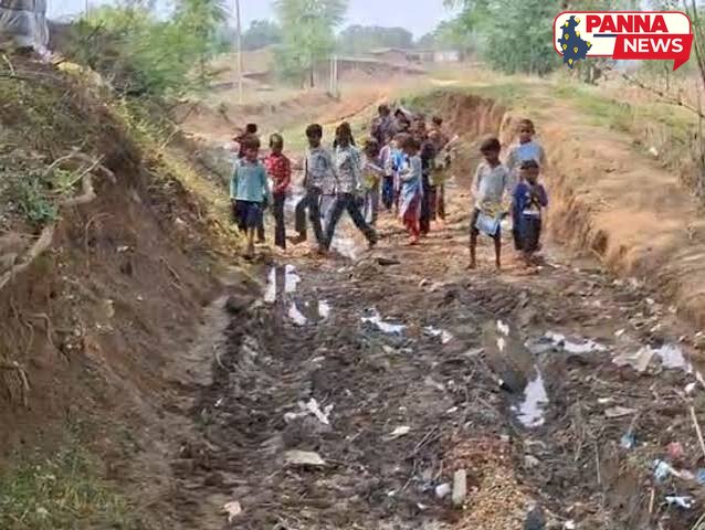 पन्ना जिले में उफनता नाला पार कर स्कूल जा रहे बच्चे