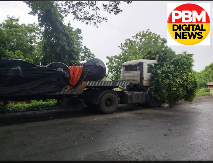 🚨BREAKING NEWS
​चित्तरंजन: भारी बारिश और तूफान में गिरा विशाल पेड़, मालगाड़ी के ट्रेलर पर गिरा; चालक बाल-बाल बचा