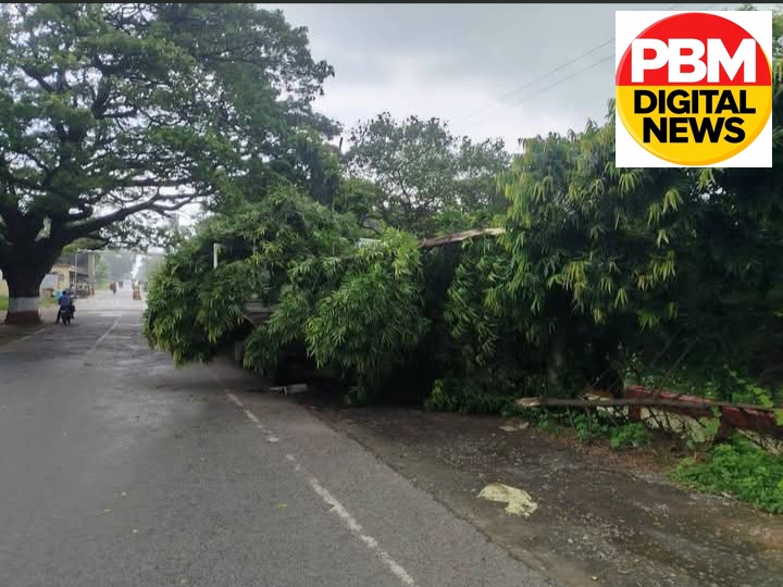 🚨BREAKING NEWS
​चित्तरंजन: भारी बारिश और तूफान में गिरा विशाल पेड़, मालगाड़ी के ट्रेलर पर गिरा; चालक बाल-बाल बचा