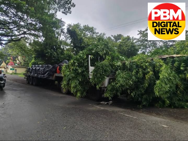 🚨BREAKING NEWS
​चित्तरंजन: भारी बारिश और तूफान में गिरा विशाल पेड़, मालगाड़ी के ट्रेलर पर गिरा; चालक बाल-बाल बचा