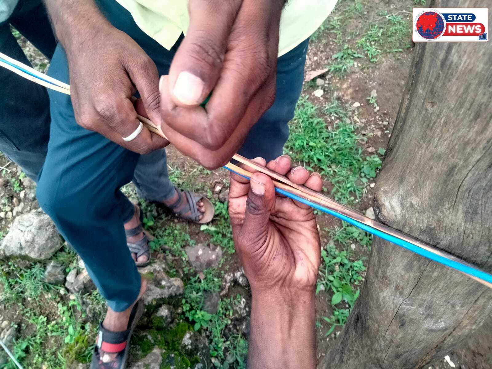 नवाड़ में अस्थायी विद्युत तार टूटने से करंट फैला, चार पशुओं की मौत; विभाग पर उठे सवाल।