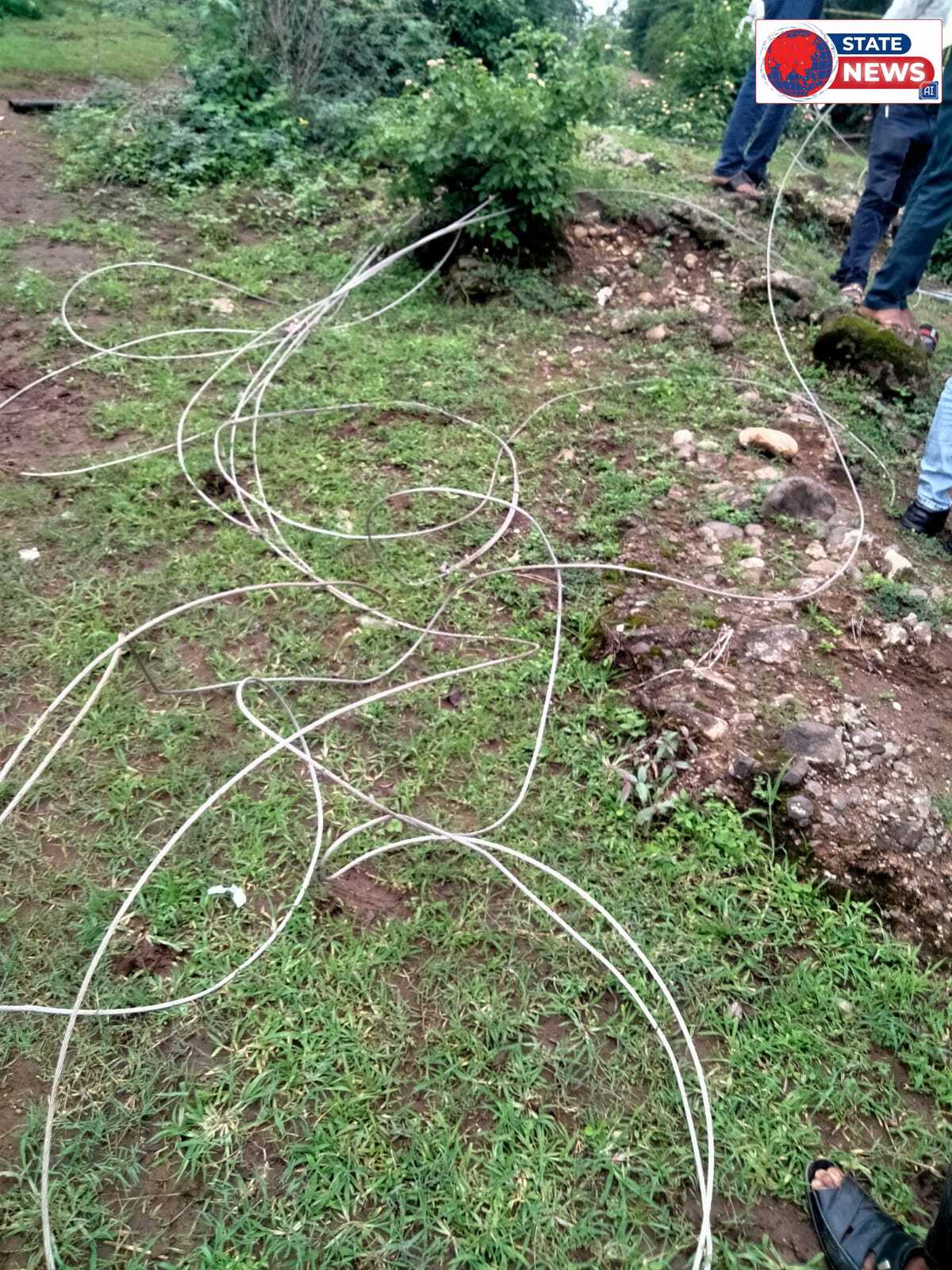 नवाड़ में अस्थायी विद्युत तार टूटने से करंट फैला, चार पशुओं की मौत; विभाग पर उठे सवाल।
