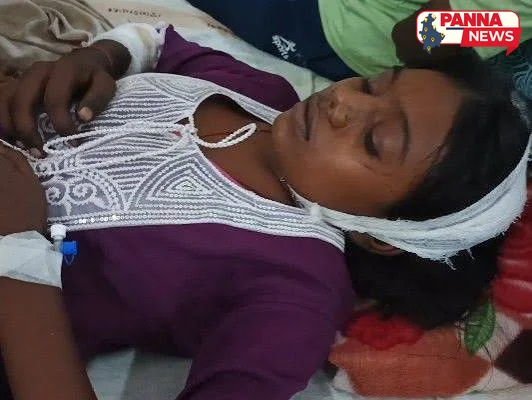 पन्ना में बच्ची पर बंदरों का भयानक हमला: 13 साल की देवकी गंभीर रूप से घायल, लोगों में प्रशासन के खिलाफ भारी आक्रोश