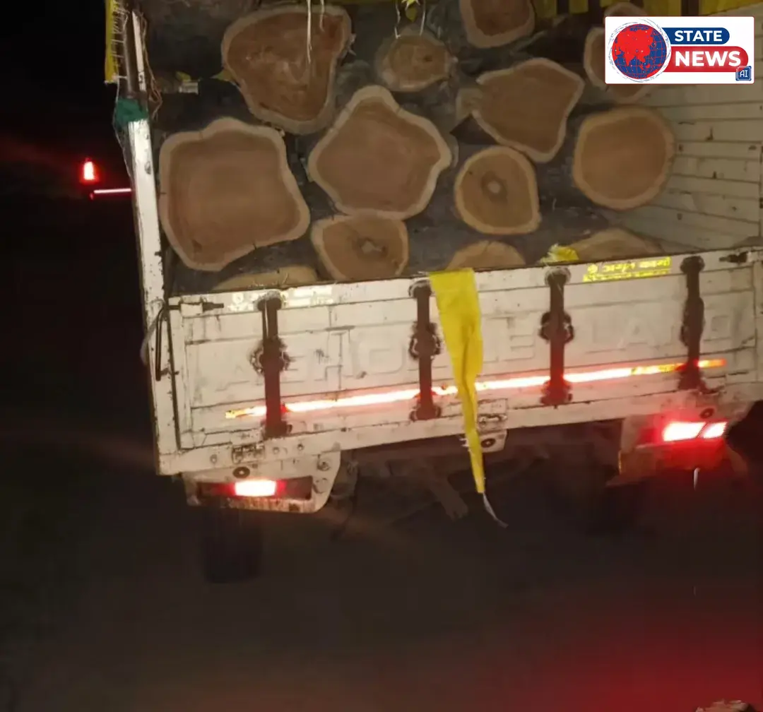 केसली वन विभाग की बड़ी कार्रवाई: 14 नग सागौन लट्ठों से भरा आपे और मोटरसाइकिल ज़ब्त, 3 तस्कर गिरफ्तार