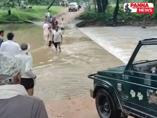 पन्ना में उफनते नाले से गुजर रहे वाहन और लोग, प्रशासन की लापरवाही उजागर