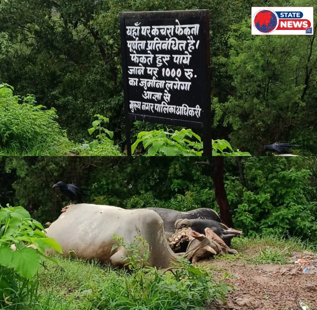 मनगवां बाईपास स्थित छोटू महाराज सिनेमा घर एवं जोगनाही टोल के पास प्रशासनिक लापरवाही का गंभीर मामला सामने आया