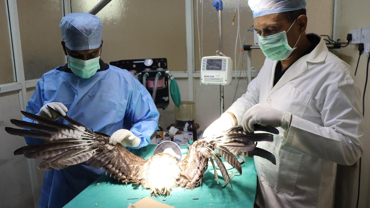 PfA@30: Celebrating Three Decades of Wildlife Protection and Conservation Efforts Globally