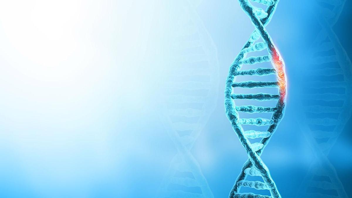 Nature's Secrets: Insights into Gene Deactivation and Human Health
